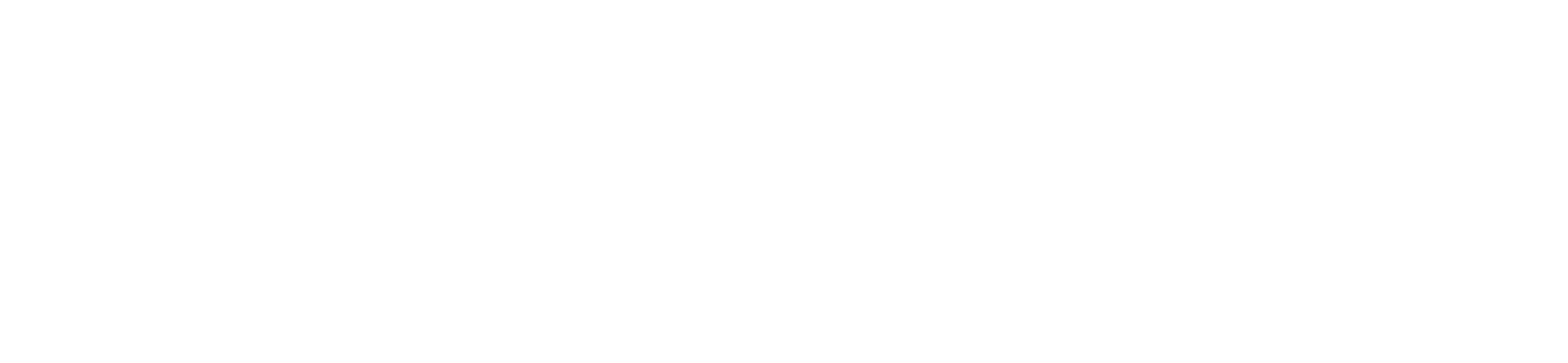 Logo Porsche România